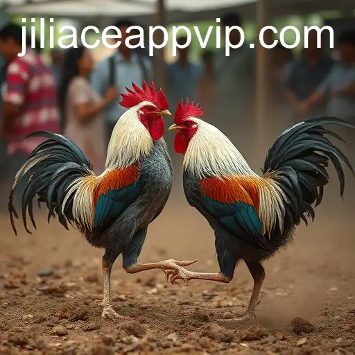 The Cultural Significance of Cockfighting: A Deep Dive